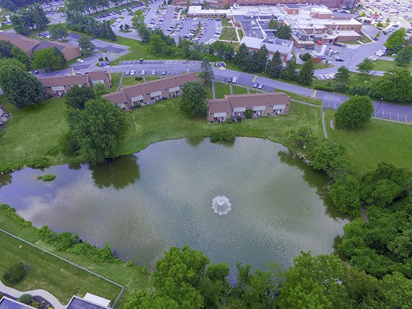 an aerial view of a pond in the middle of a city