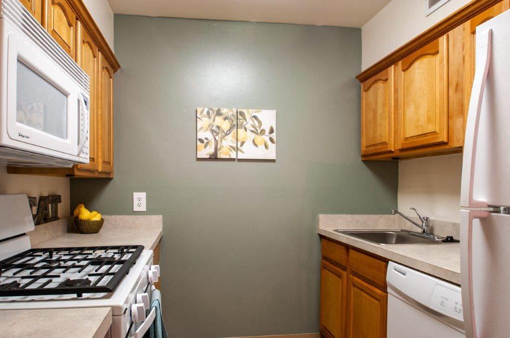 a kitchen with a stove and a microwave and a sink