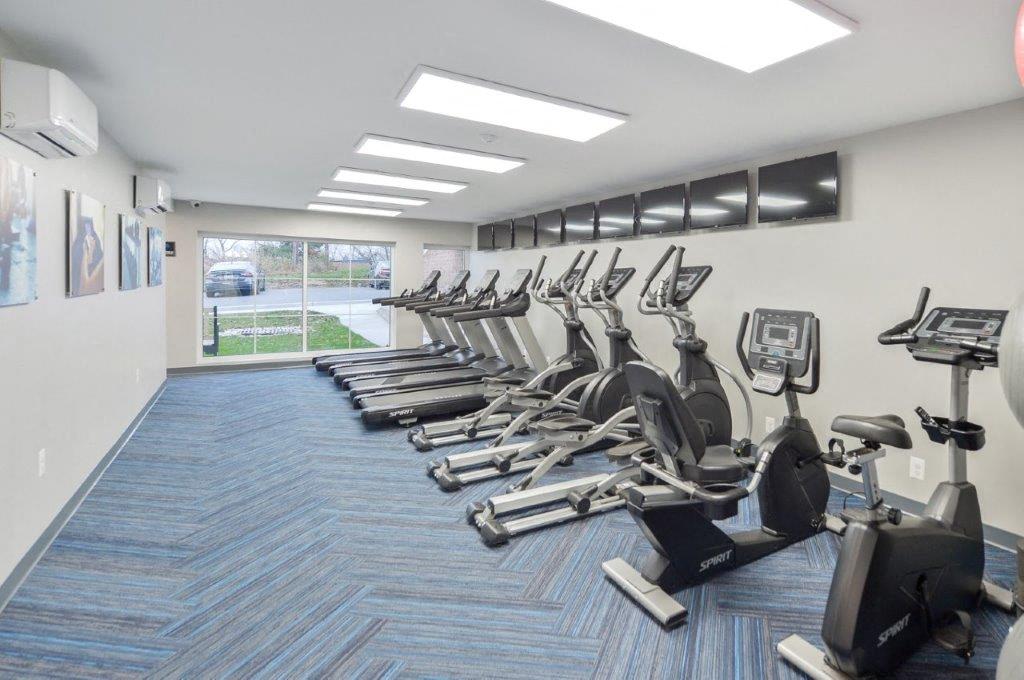 a gym with a row of cardio exercise machines