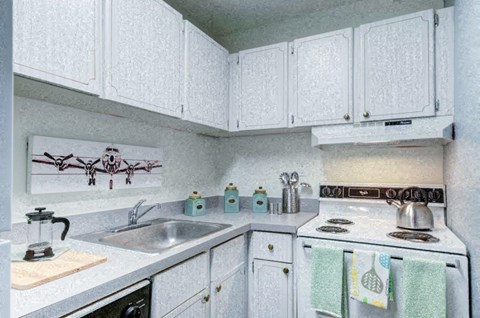 a white kitchen with white cabinets and a sink