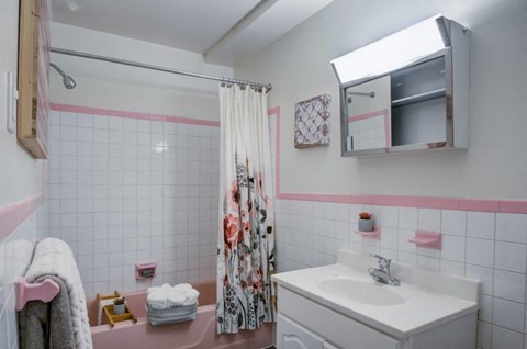 a bathroom with a sink and a shower