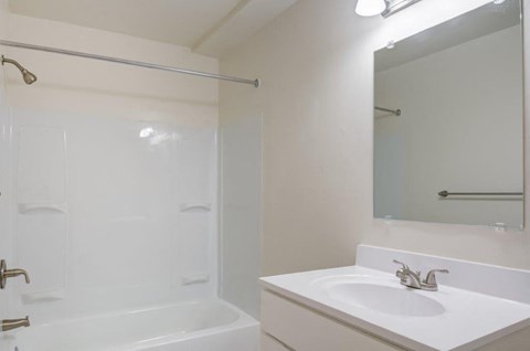 a bathroom with a sink and a shower and a mirror