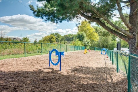 a dog park with a chain link fence and a tree