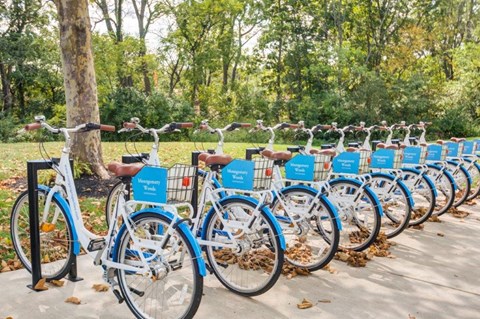 a row of blue bikes parked next to each other in a park