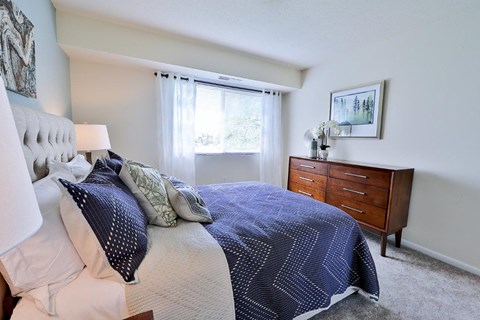 a bedroom with a bed and a dresser