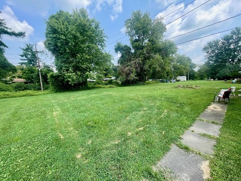 A large, green, grassy yard with a concrete walkway.