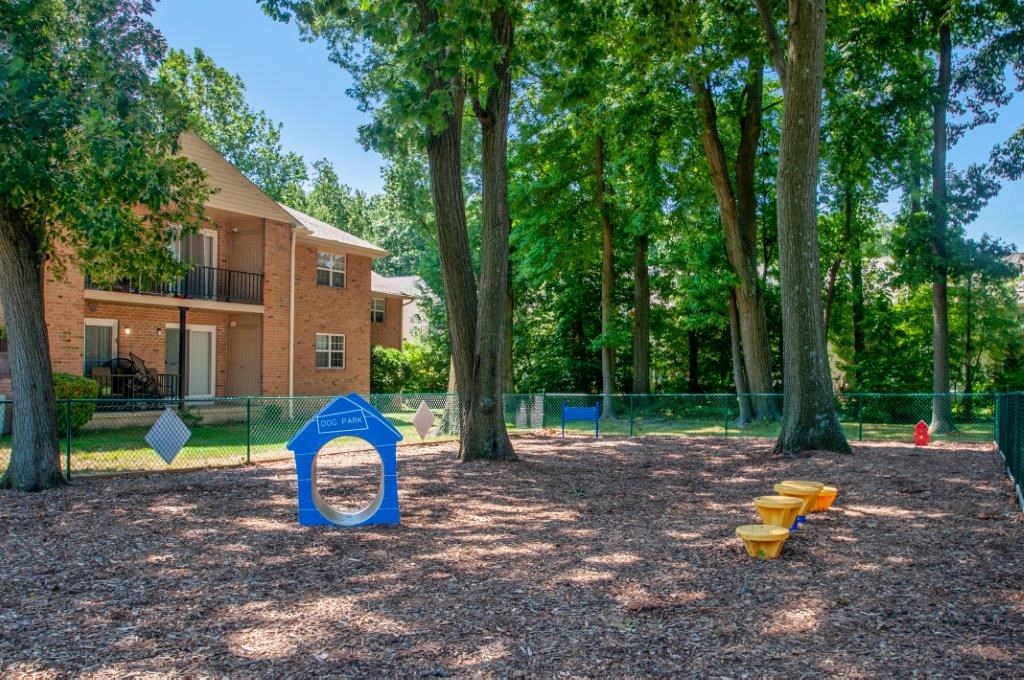 our community has a playground for our dogs