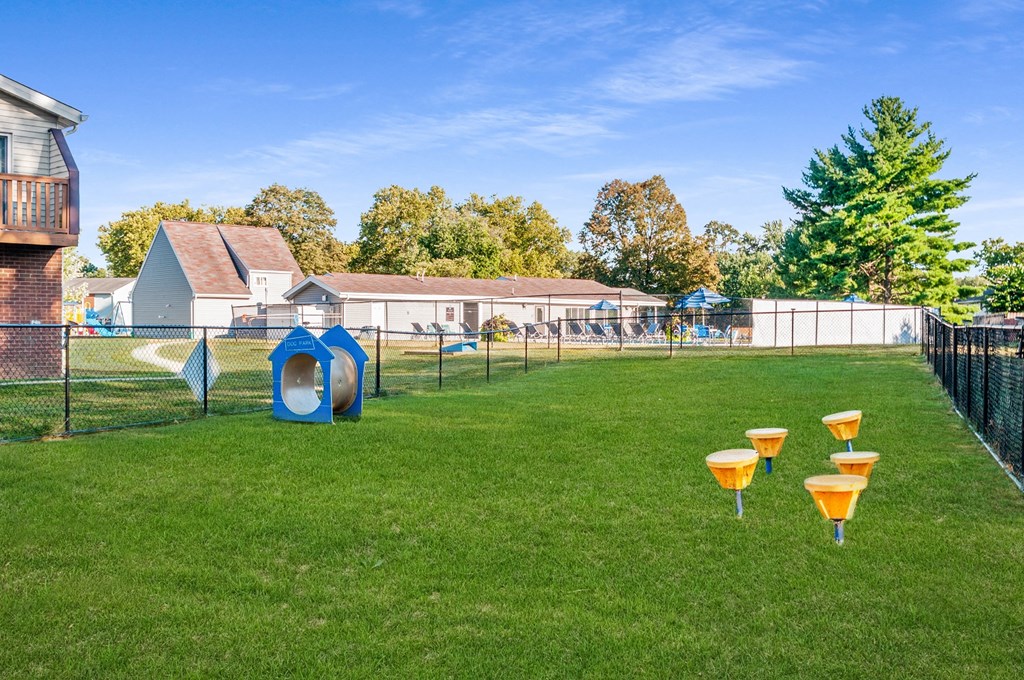 a dog park with agility courses and a fence