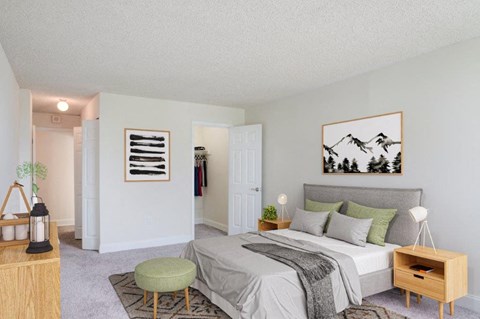 a bedroom with a bed and a closet