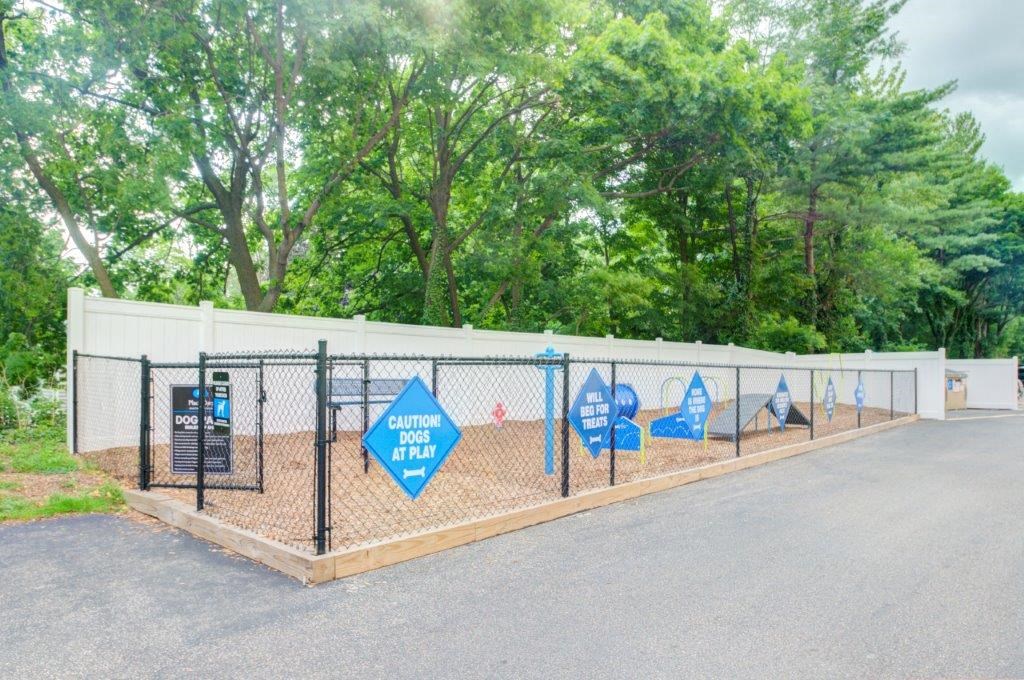 a dog park in a fenced in area with trees
