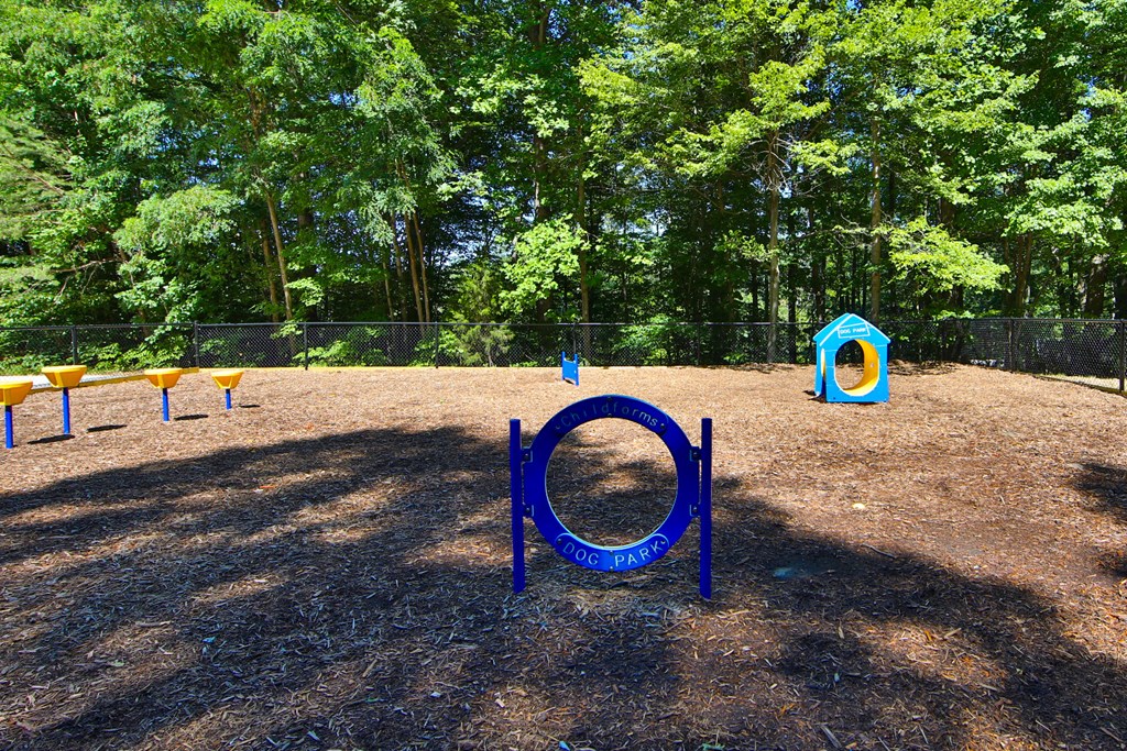 a playground with a blue tyre and a bunch of trees