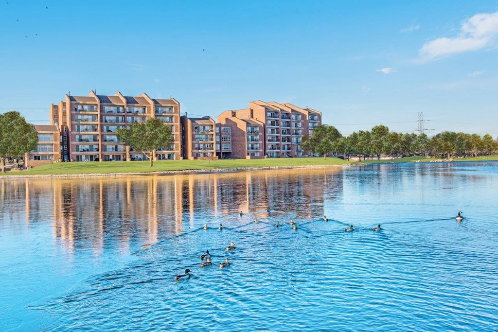 a group of ducks swimming in a lake near an apartment building