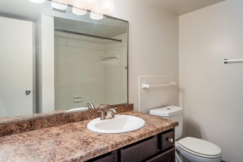 a bathroom with a sink toilet and a mirror