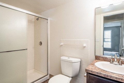 a bathroom with a shower toilet and sink