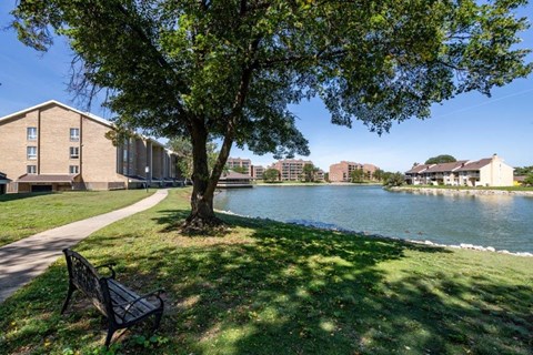 a bench is sitting under a tree next to a lake