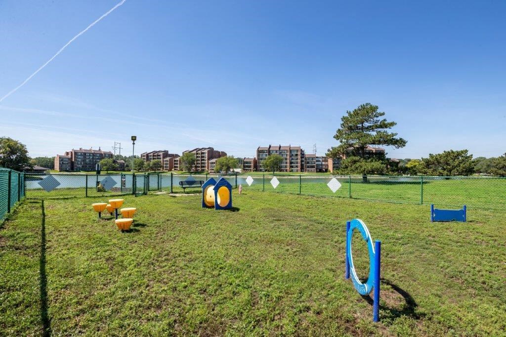 a dog park with agility equipment on the grass