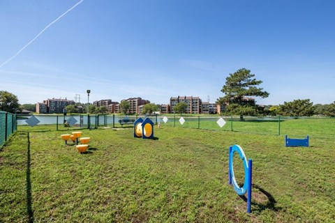 a dog park with agility equipment on the grass