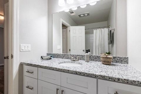 a bathroom with a sink and a mirror