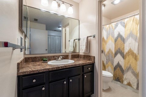 a bathroom with a sink and a shower and a toilet