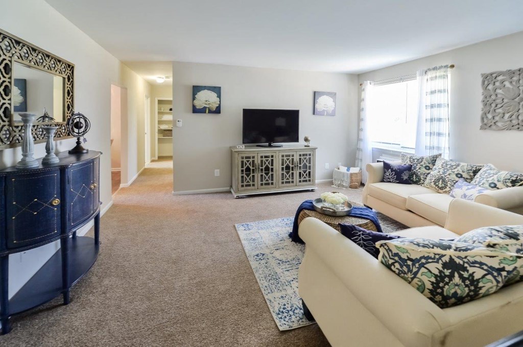 a living room with a couch and a television