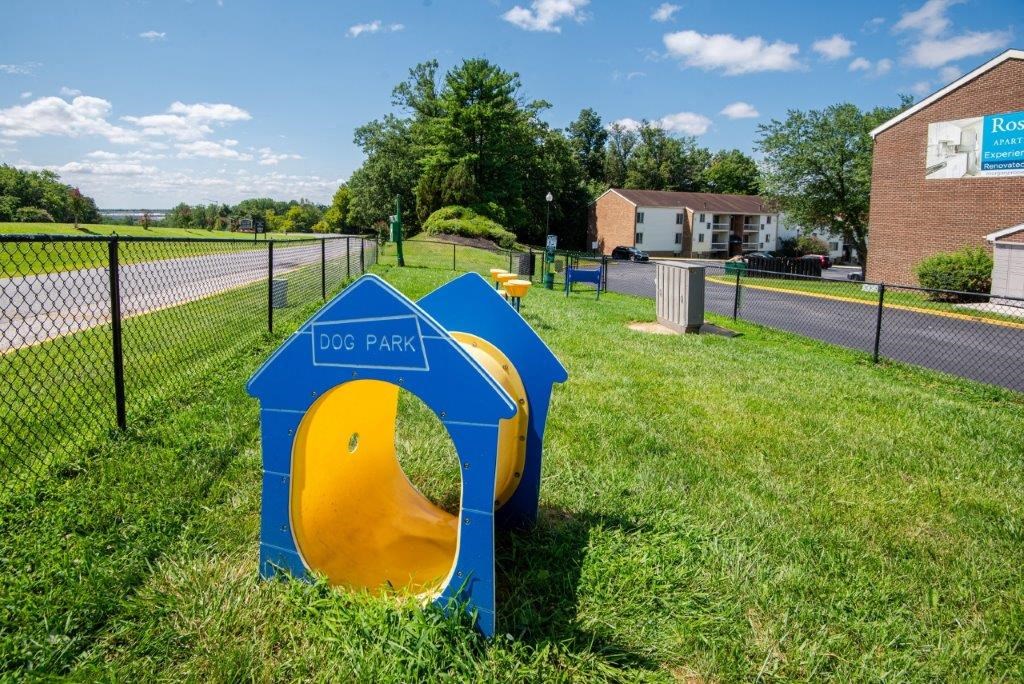 a blue and yellow mailbox sitting in the grass next to a fence