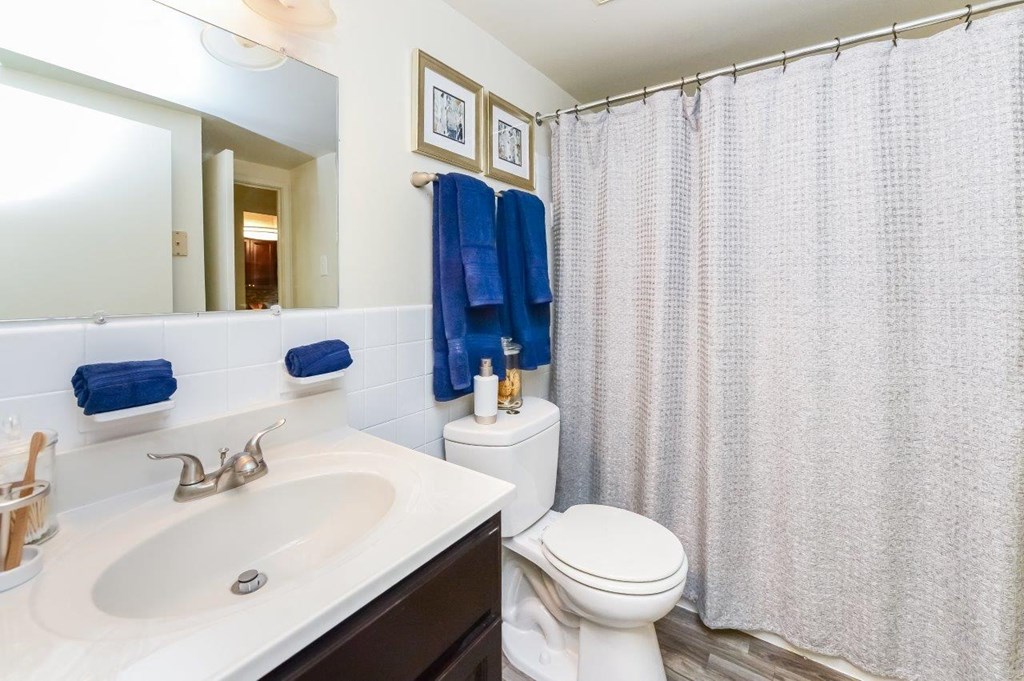 a bathroom with a sink and a toilet and a shower
