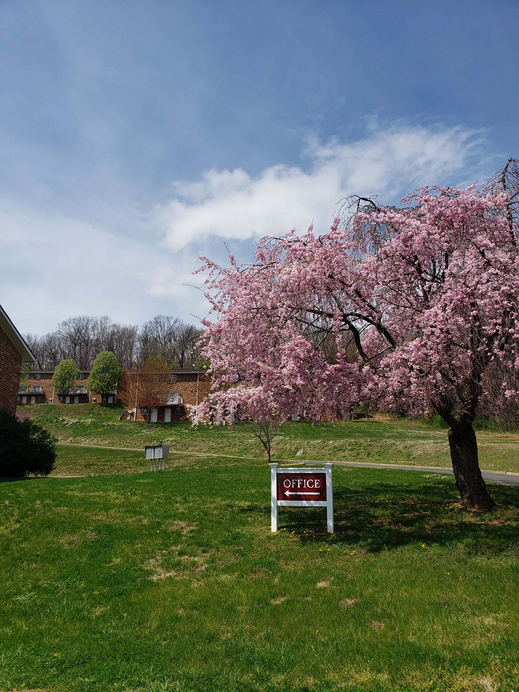 MINT SPRING APTS