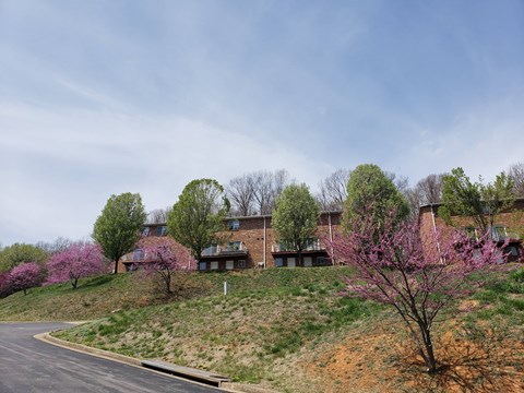 the building in which the hotel is located
