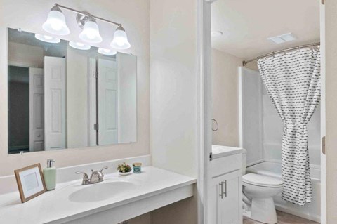 a bathroom with a sink and a mirror and a toilet