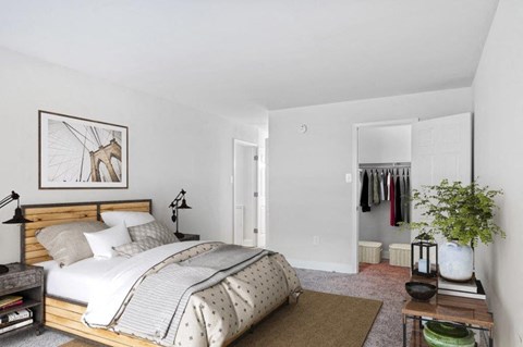 a bedroom with a bed and a closet