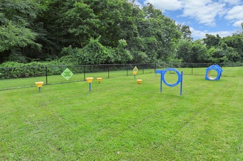 a dog park with agility cones and a chain link fence