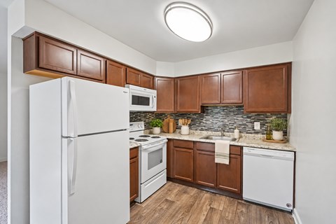 595 Tulip Lane 2 Beds Apartment for Rent