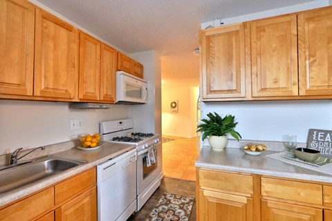 The Carlyle Apartment Homes