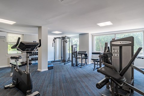 The Carlyle Apartment Homes