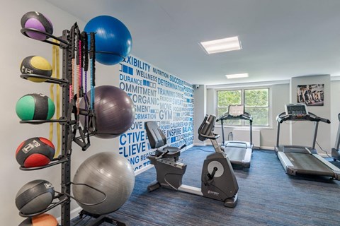 The Carlyle Apartment Homes