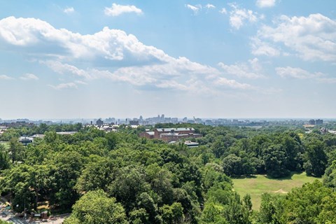 The Carlyle Apartment Homes