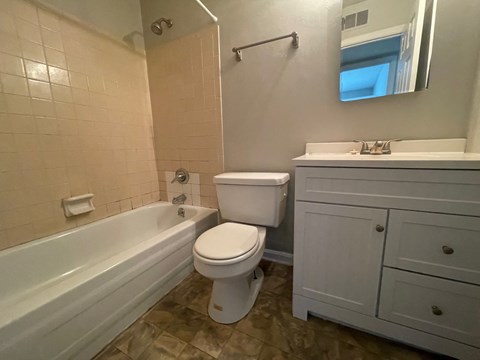 a bathroom with a toilet and a tub and a sink
