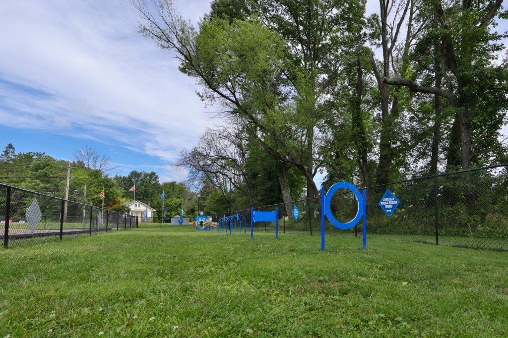 the park is full of games and playground equipment