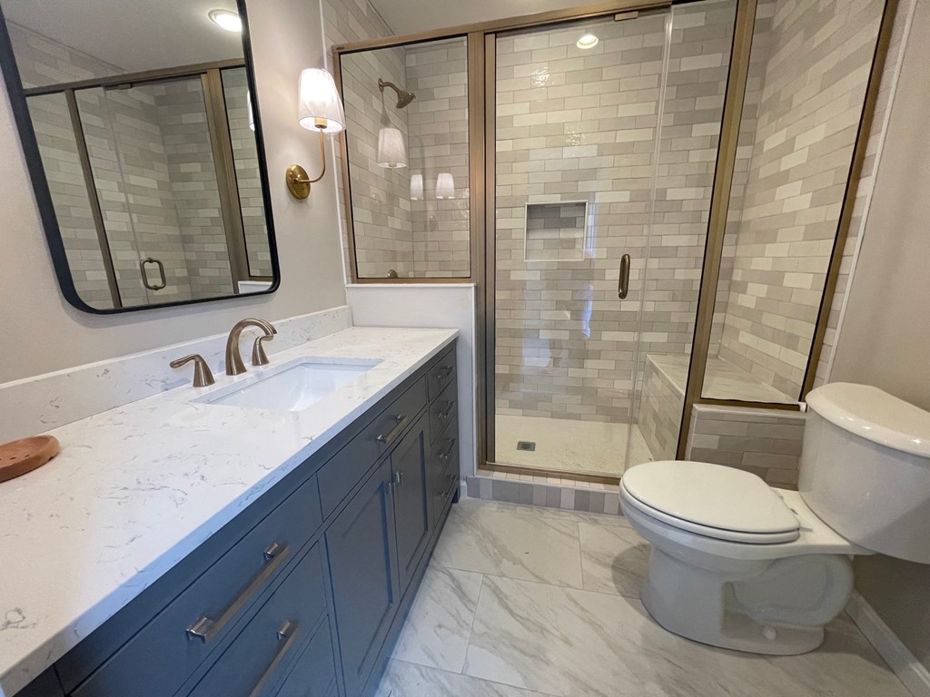A bathroom with a white toilet and a walk-in shower.