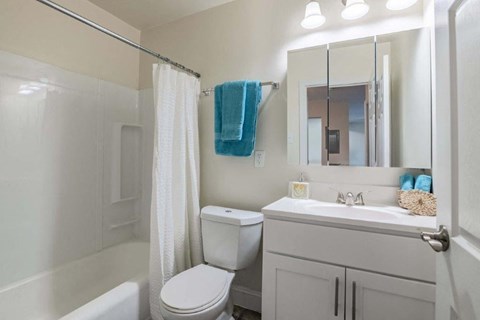 a bathroom with a sink toilet and a shower