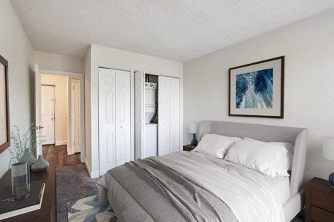 a bedroom with a bed and a closet