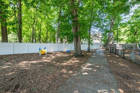 a dog park with trees and a fence