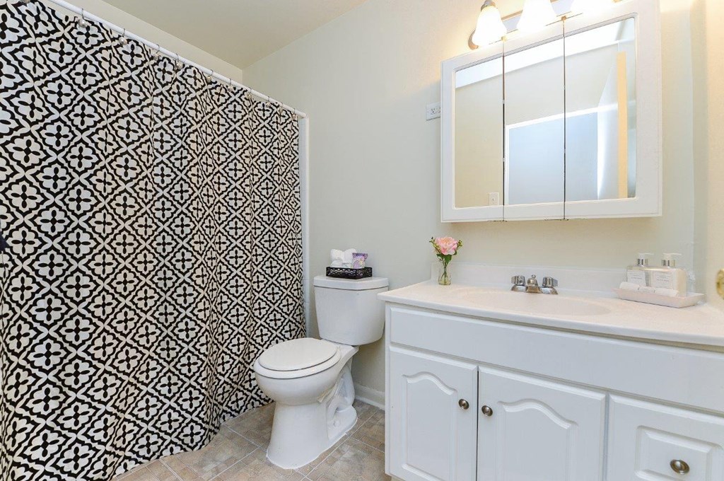 a black and white bathroom with a toilet and a sink