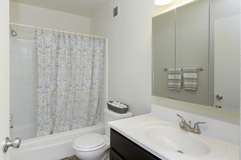 A white sink with a silver faucet and a white toilet in a bathroom.