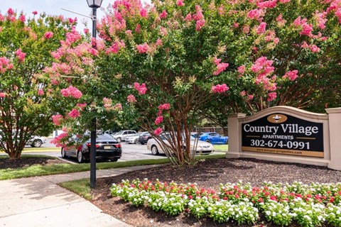a sign for the county village parking lot with pink flowers