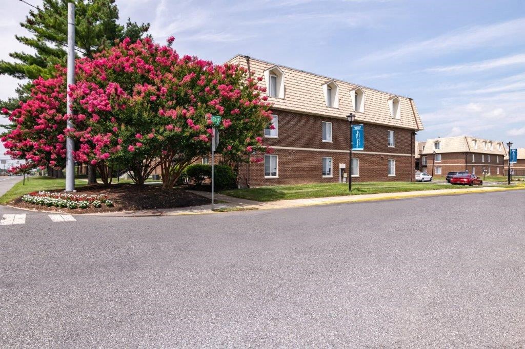 a building with a tree with pink flowers in front of it