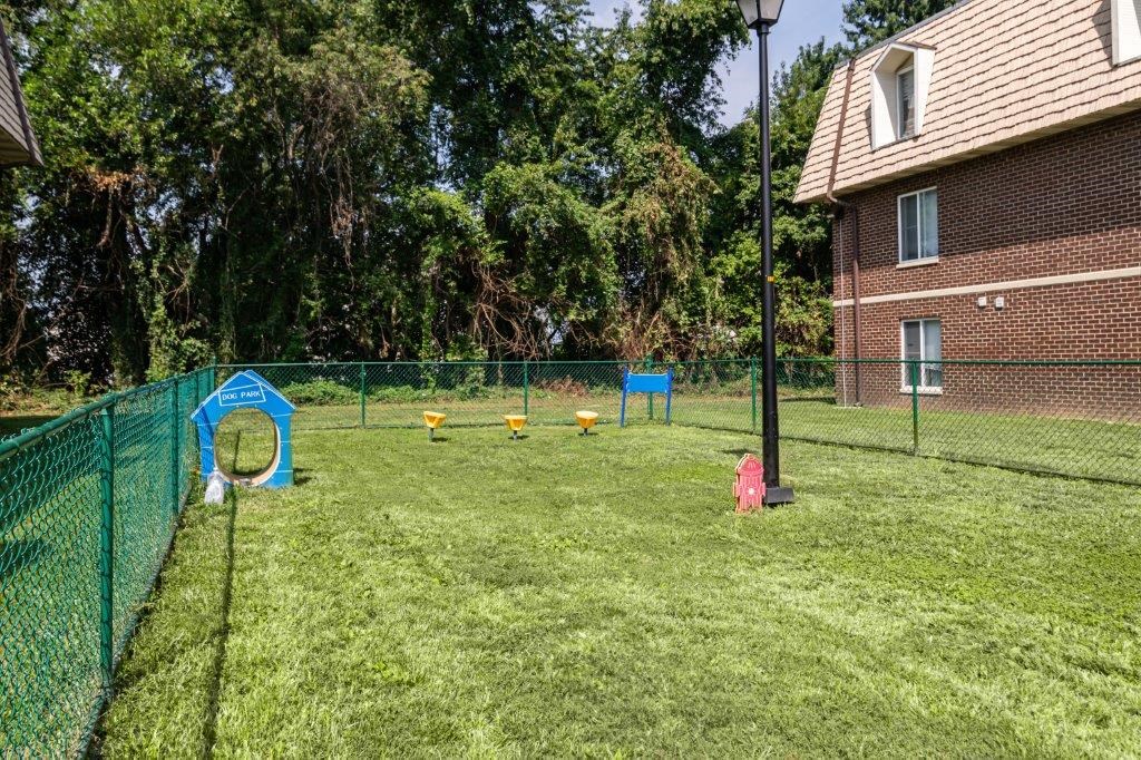 a fenced in backyard with a dog park and a fire hydrant