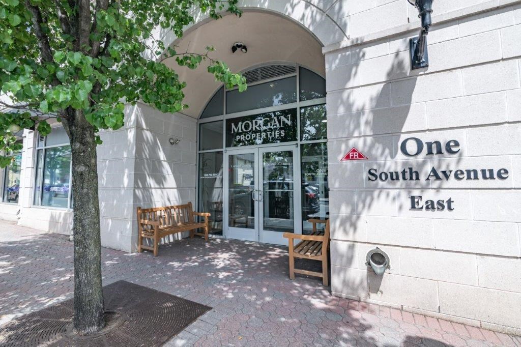 the front of a building with a tree in front of it