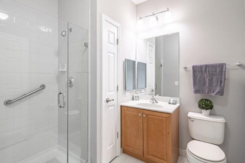 a bathroom with a sink toilet and a shower