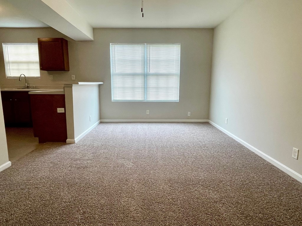 A room with a carpeted floor and a window with blinds.